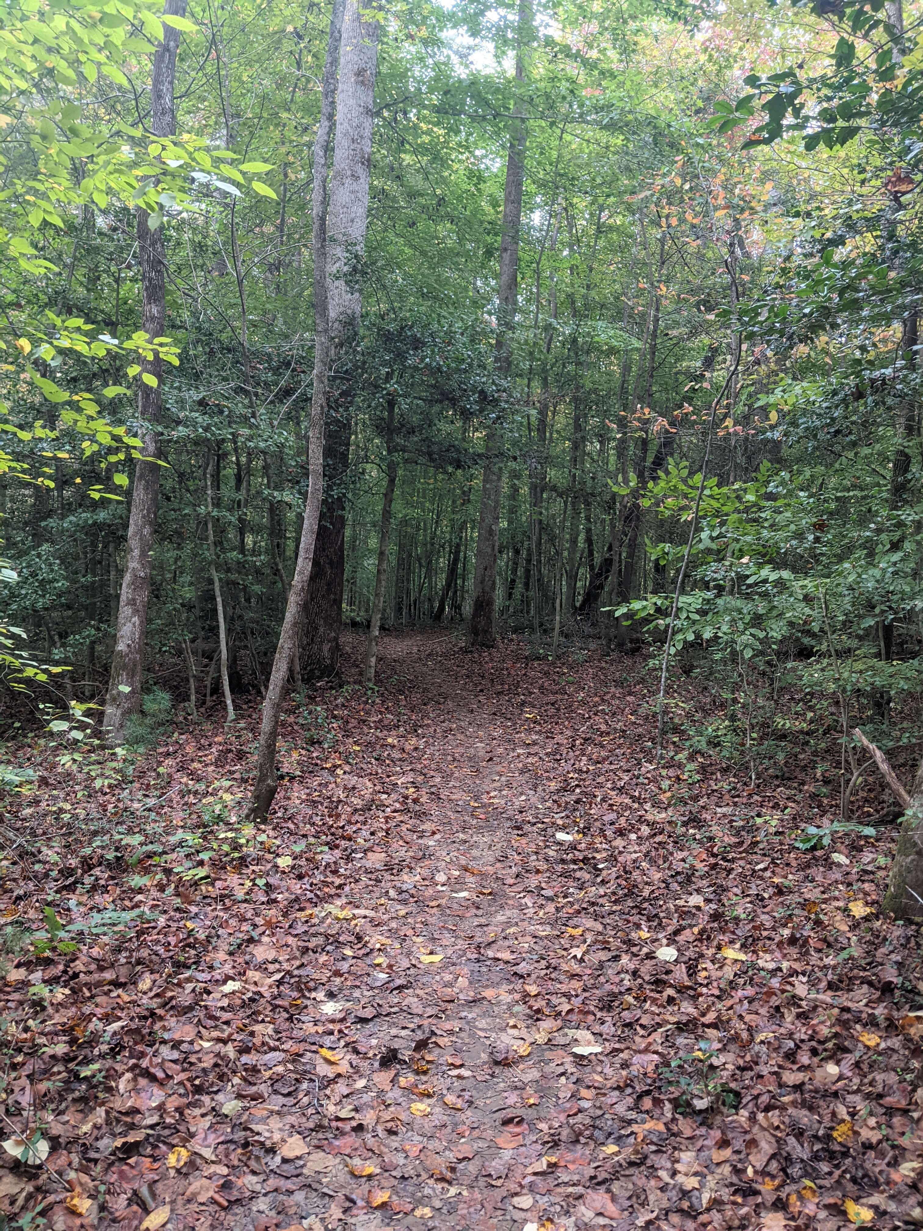 A trail at Harris Lake