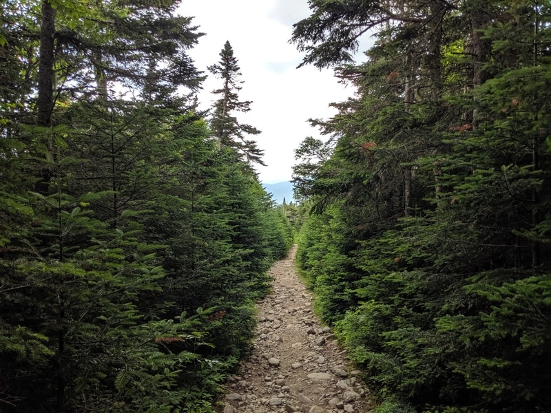 A rocky mountain trail.